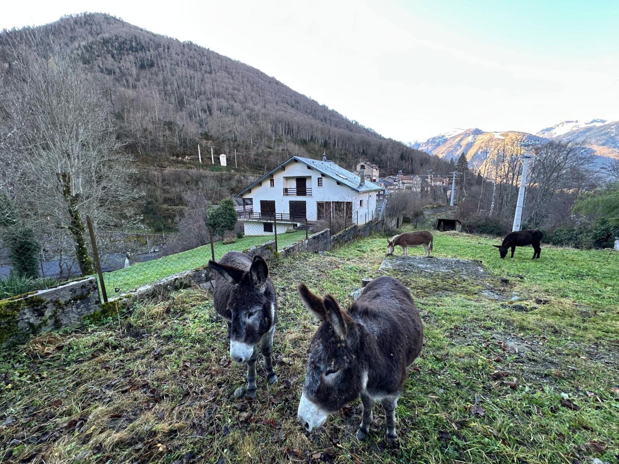 Chalet Artigalas Eaux-Bonnes Luaran gambar